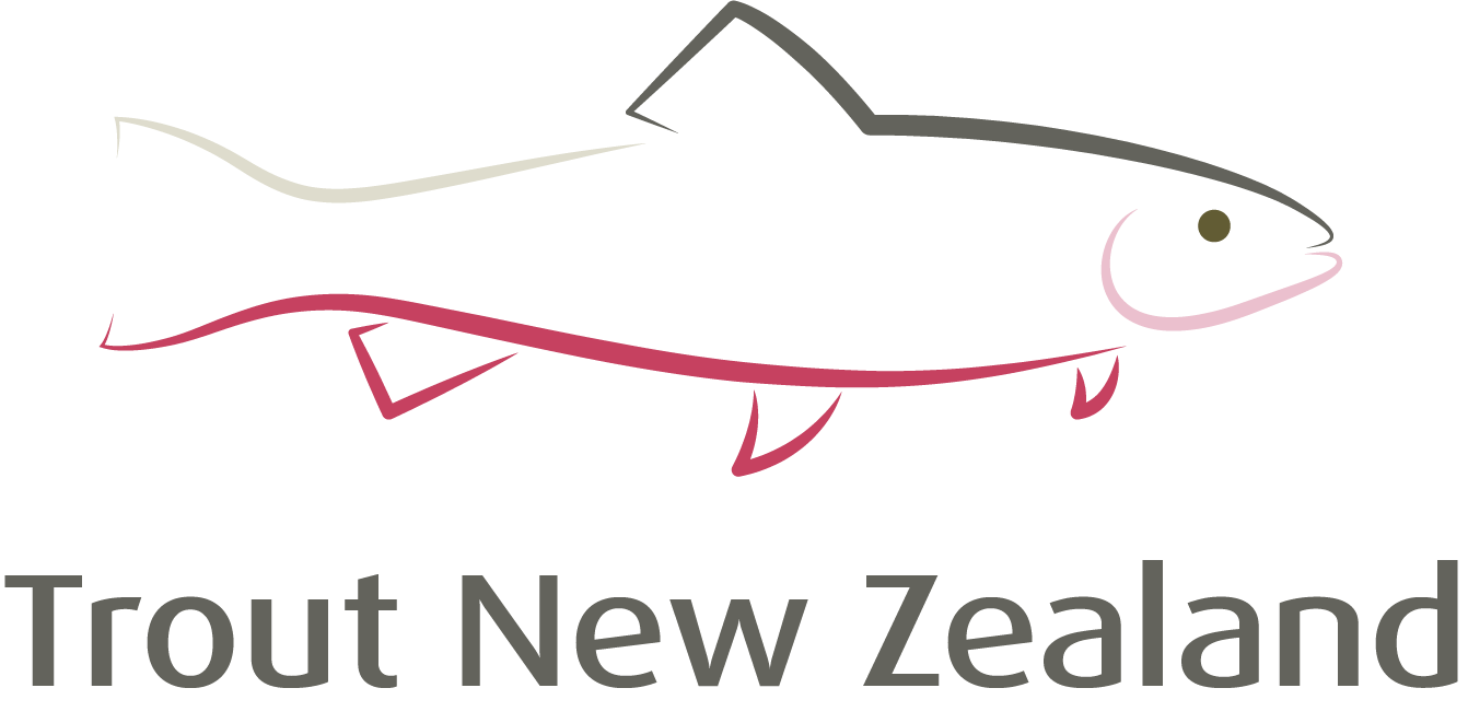 TNZ web logo